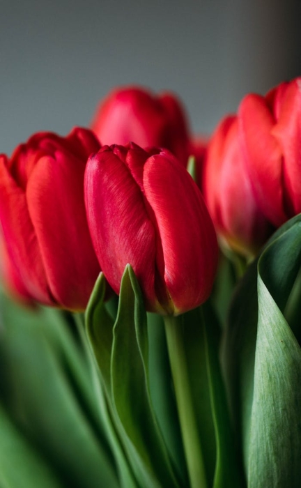 seo����Ҫע��ʲô��